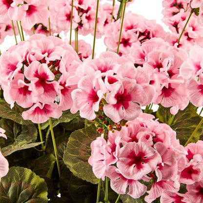 Pink Geranium Urn Filler